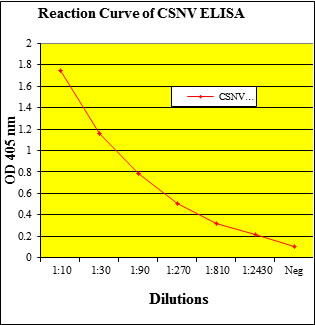 CSNV